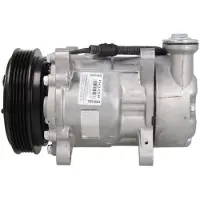Delphi TSP0159424 Aircopomp