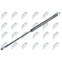 NTY AE-DW-000 Gasveer achterklep