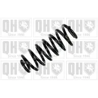 Quinton Hazell QCS8179 Chassisveer