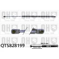 Quinton Hazell QTS828199 Gasveer achterklep