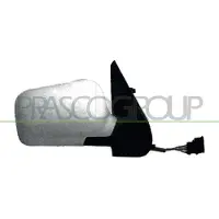 PRASCO Buitenspiegel VG0167323