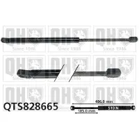 Quinton Hazell QTS828665 Gasveer achterklep
