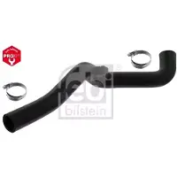 FEBI BILSTEIN 49113 Radiateurslang