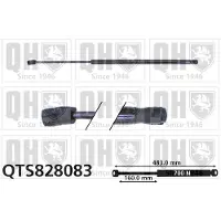 Quinton Hazell QTS828083 Gasveer achterklep