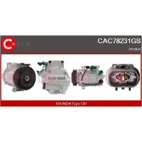 Casco CAC78231GS Aircopomp