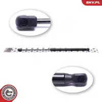 ESEN SKV 52SKV802 Gasveer achterklep