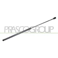 PRASCO FD4289055 Gasveer achterklep