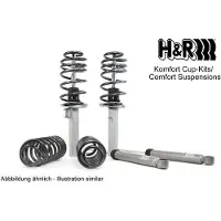 H&R 40633-1 Schokdemper met veer