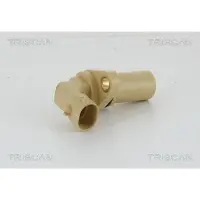 TRISCAN 8855 10134 Krukassensor