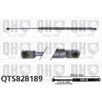 Quinton Hazell QTS828189 Gasveer achterklep