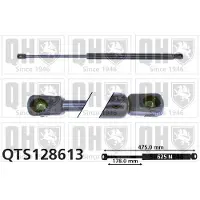 Quinton Hazell QTS128613 Gasveer achterklep