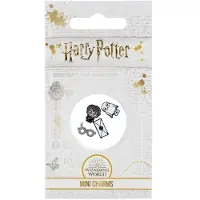 Harry Potter Harry Mini Necklace Charms Set Goud Man