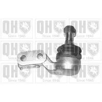 Quinton Hazell QSJ2098S Fuseekogel