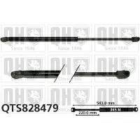 Quinton Hazell QTS828479 Gasveer achterklep