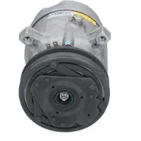 BV PSH 090.235.010.040 Aircopomp
