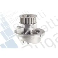Bugatti PA10020 Waterpomp