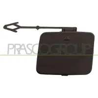 BLIC Ventilatiegrille, bumper trekhaak 5513-00-0096971P links