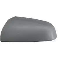 IPARLUX 41536601 Afdekking, buitenspiegel