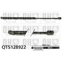 Quinton Hazell QTS128922 Gasveer achterklep