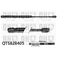 Quinton Hazell QTS828405 Gasveer achterklep