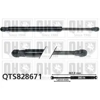 Quinton Hazell QTS828671 Gasveer achterklep