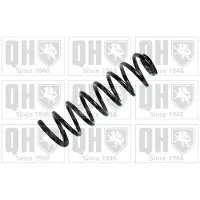 Quinton Hazell QCS6569 Chassisveer