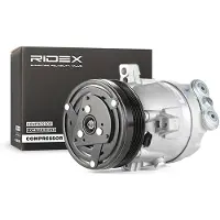 RIDEX 447K0123 Aircopomp