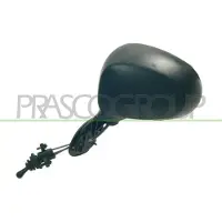 PRASCO DW3257004 Buitenspiegel