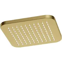 Hotbath Gal GL100 hoofddouche 22cm vierkant geborsteld messing PVD