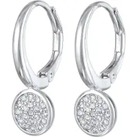 Elli Oorbellen zilver / transparant