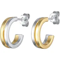 Elli Oorbellen goud / zilver