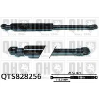 Quinton Hazell QTS828256 Gasveer, dak