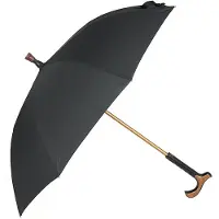 Parasol Luxe 2-in-1 paraplu-wandelstok XL, automatisch, zwart