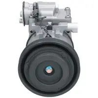 BV PSH 090.255.043.200 Aircopomp