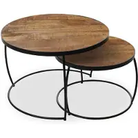 Rousseau Salontafel 'lars' 2-delig mango hout