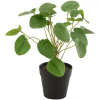 J-Line plant - Piilea Peperomioides in pot - kunststof - groen