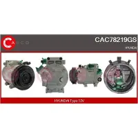 Casco CAC78219GS Aircopomp