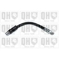 Quinton Hazell BFH4917 Remslang