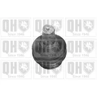 Quinton Hazell QSJ3467S Fuseekogel