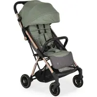 Moni Berlin Premium Green Wandelwagen 99910896