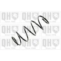 Quinton Hazell QCS6610 Chassisveer