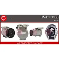 Casco CAC81018GS Aircopomp
