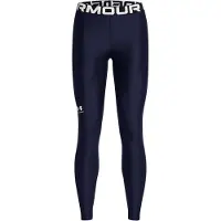 Under Armour Heatgear Authentics Leggings Blauw L Vrouw