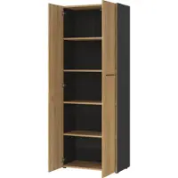 Germania Archiefkast Robert 196 cm 2 deuren - antraciet/eik