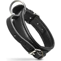 Julius-K9 Eco Lederen halsband - Met handvat - 40mm x 50cm