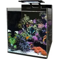 Aquadistri Bm reef 60 aquarium Blue Marine