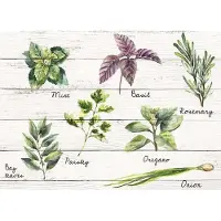 Crearreda Muursticker Kitchen Panel Shabby Spices 47x65cm Pvc Wit