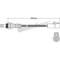 VEGAZ ULS-461 Lambdasonde