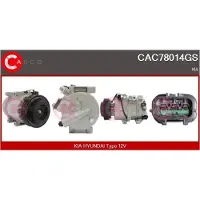 Casco CAC78014GS Aircopomp
