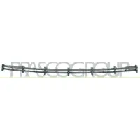 PRASCO OP0172120 Ventilatiegrille, bumper